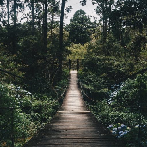 Inside Thoughts Out Loud 